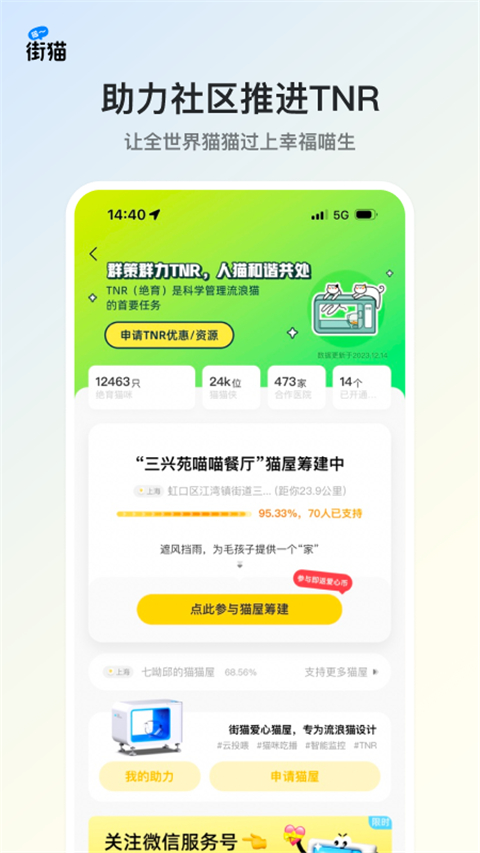 哈啰街猫app