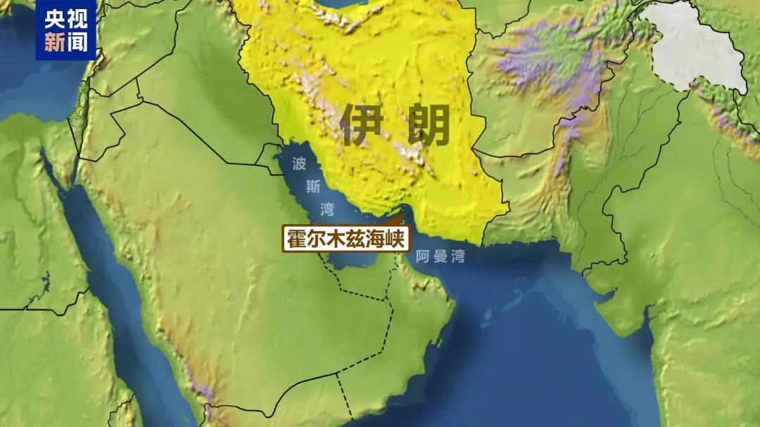 中远海运回应市场热点，最新研判