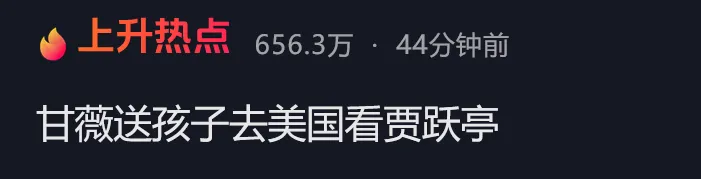 甘薇送孩子赴美探望贾跃亭 此前官宣离婚 否认资产转移 没拿40亿！彼此无商业关联