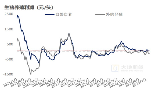 生猪：出栏环比增量，近端尚且承压